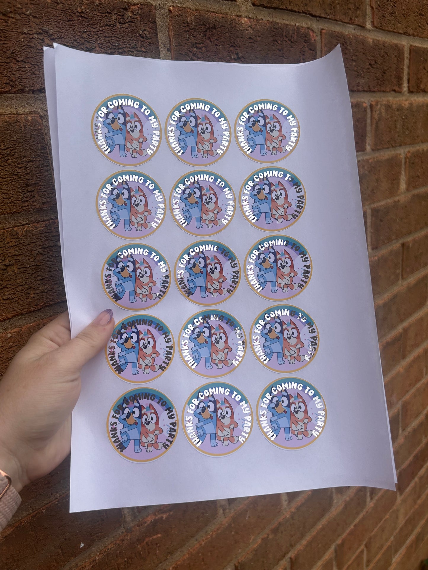 ✨ Labubu “Thanks for Coming to My Party” Stickers – 2 Inch Silver Foil ✨