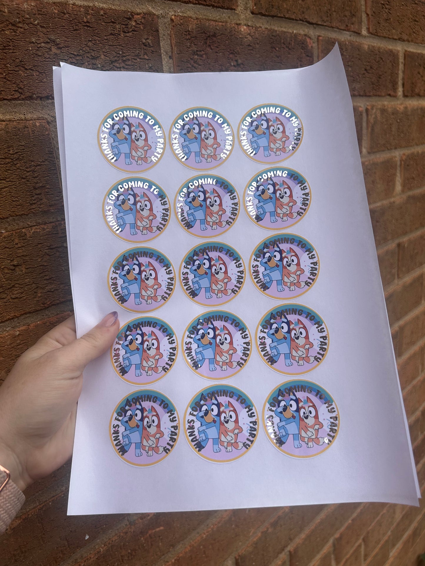 ✨ Bluey “Thanks for Coming to My Party” Stickers – 2 Inch Silver Foil ✨