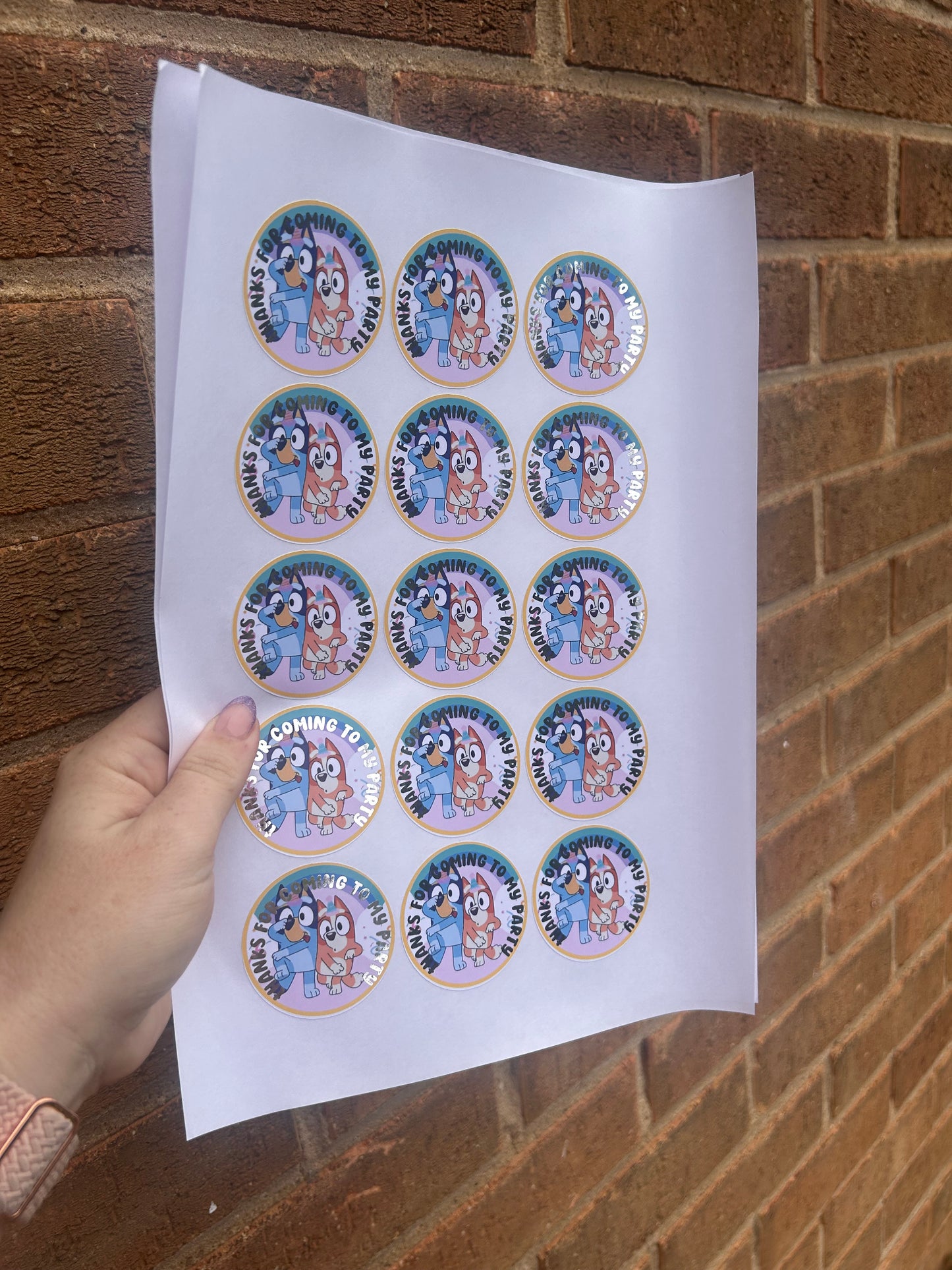 ✨ Bluey “Thanks for Coming to My Party” Stickers – 2 Inch Silver Foil ✨