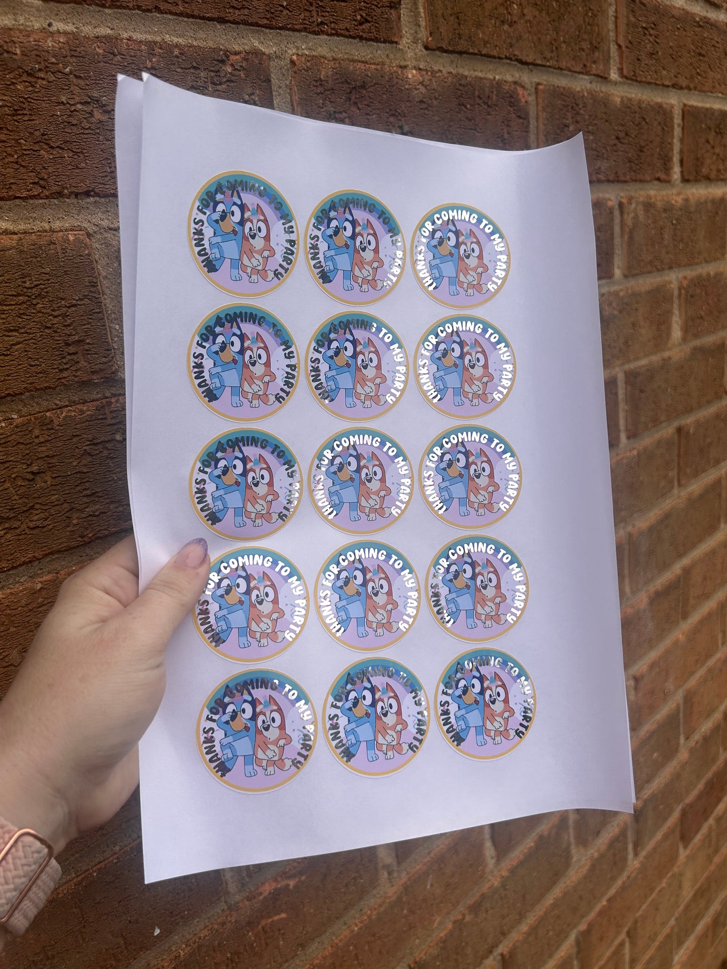 ✨ Bluey “Thanks for Coming to My Party” Stickers – 2 Inch Silver Foil ✨