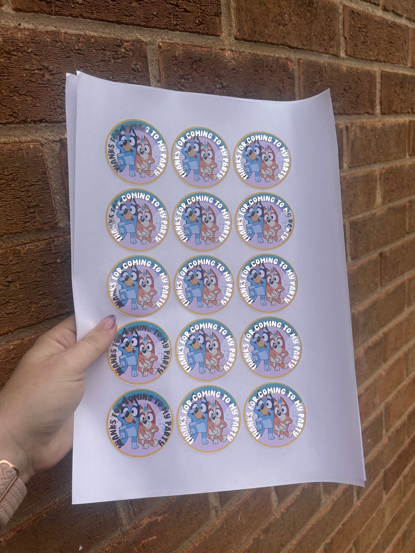 ✨ Bluey “Thanks for Coming to My Party” Stickers – 2 Inch Silver Foil ✨