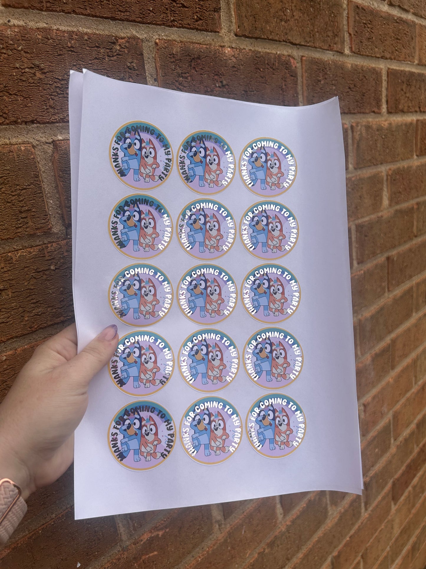 ✨ Bluey “Thanks for Coming to My Party” Stickers – 2 Inch Silver Foil ✨