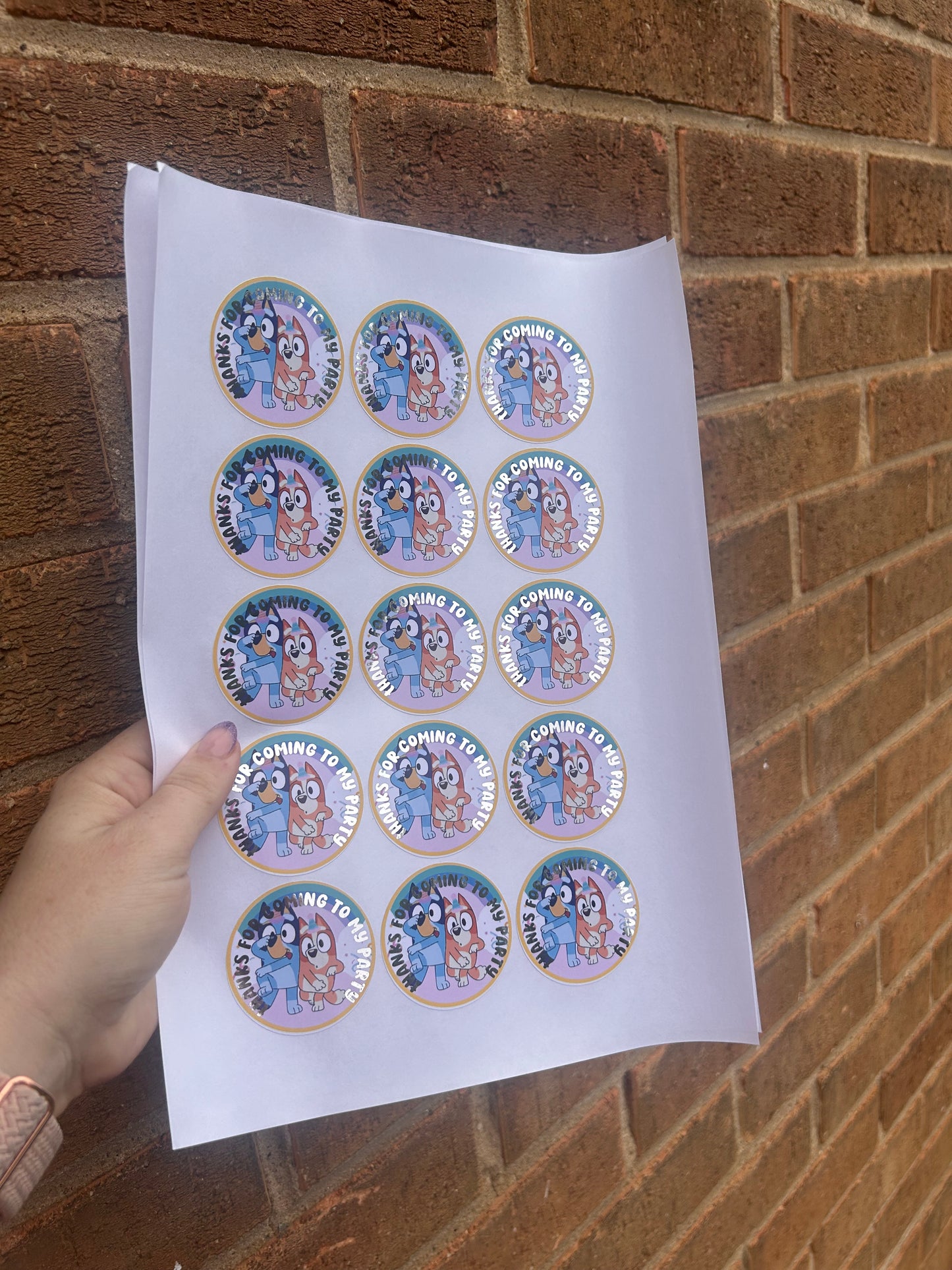 ✨ Bluey “Thanks for Coming to My Party” Stickers – 2 Inch Silver Foil ✨